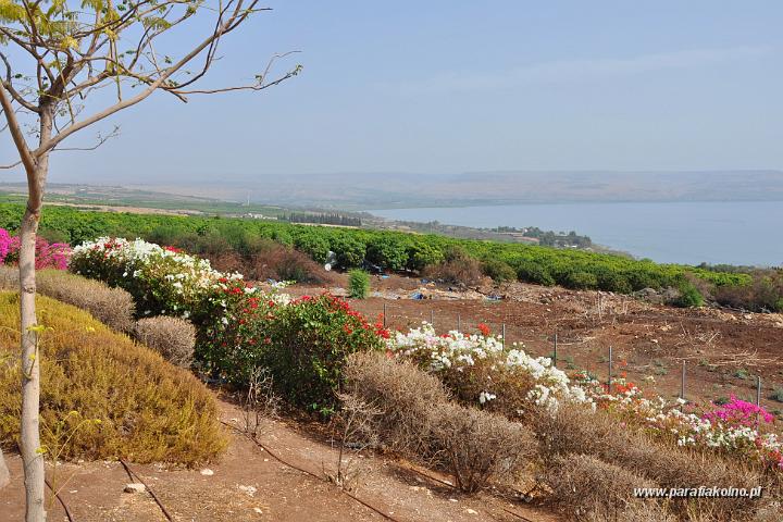 7 Widok na jezioro Genezaret.jpg